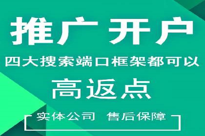 SEM专员案例：数据分析与优化