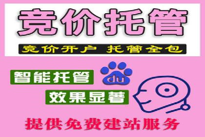 案例剖析：SEO与SEM优化助力企业转型